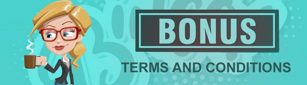 Bingo Bonus Terms and Conditions