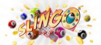 What Bingo Sites Have Slingo Games
